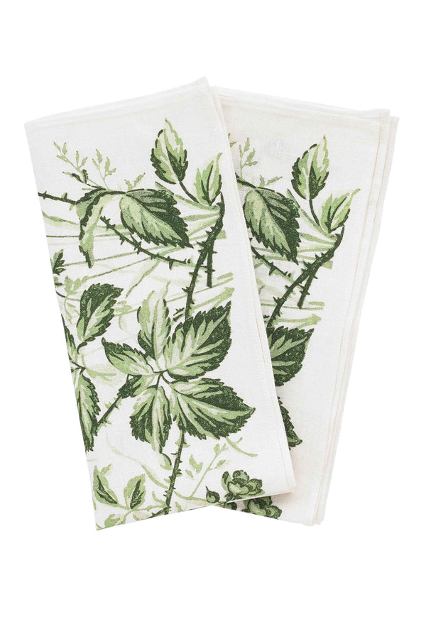 Set of 2 linen napkins